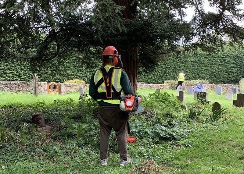 Professional Tree Services near me Maidstone ME14