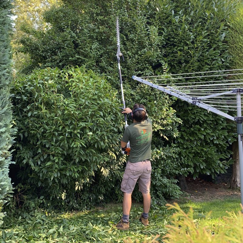 Hedge Trimming Hedge Trimming