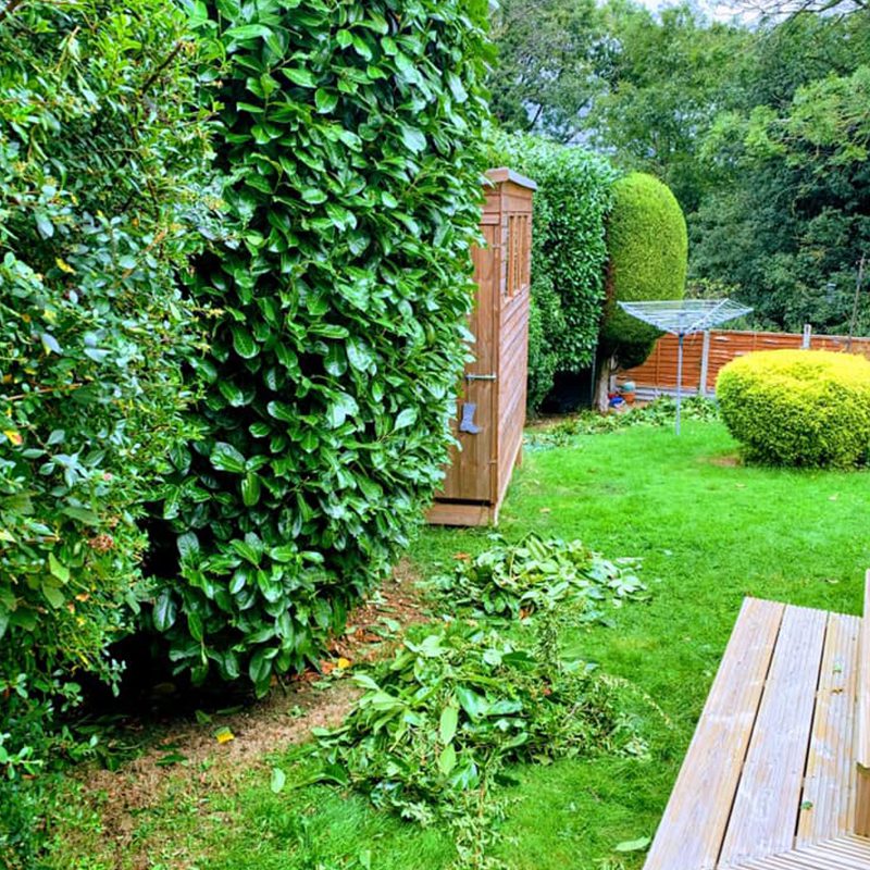 Hedge Shaping Hedge Shaping