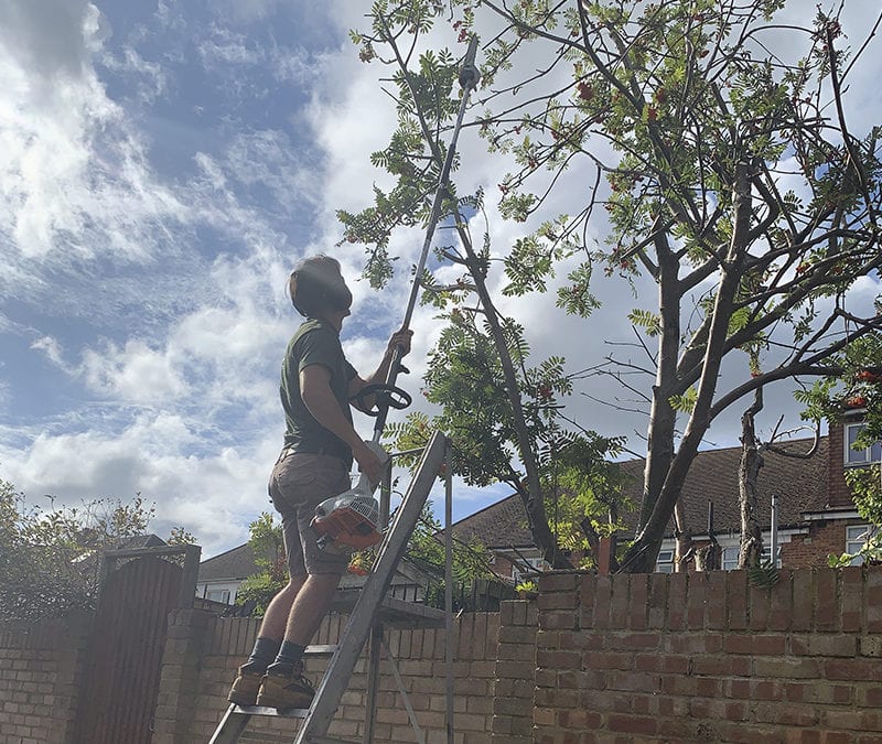 Tree Reduction in Gillingham