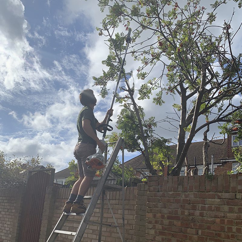 Tree Pruning
