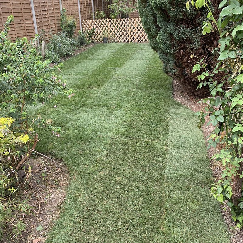 Newly Laid Turf Newly Laid Turf