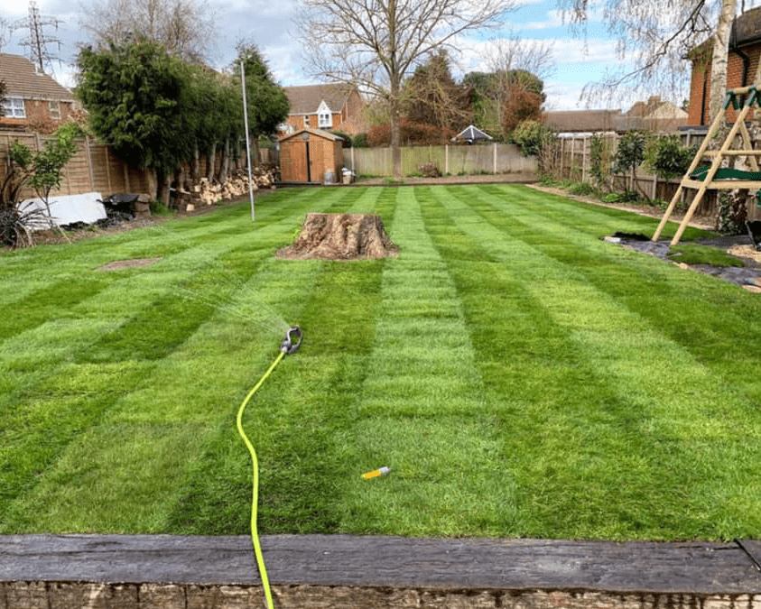 Large 270 square metre turfing project