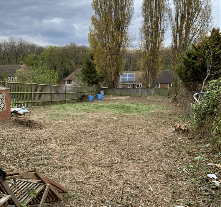 Large overgrown garden clearance, Chatham Kent