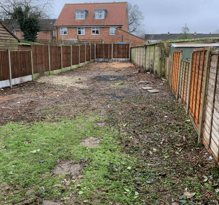 Garden Clearance, Walderslade Kent