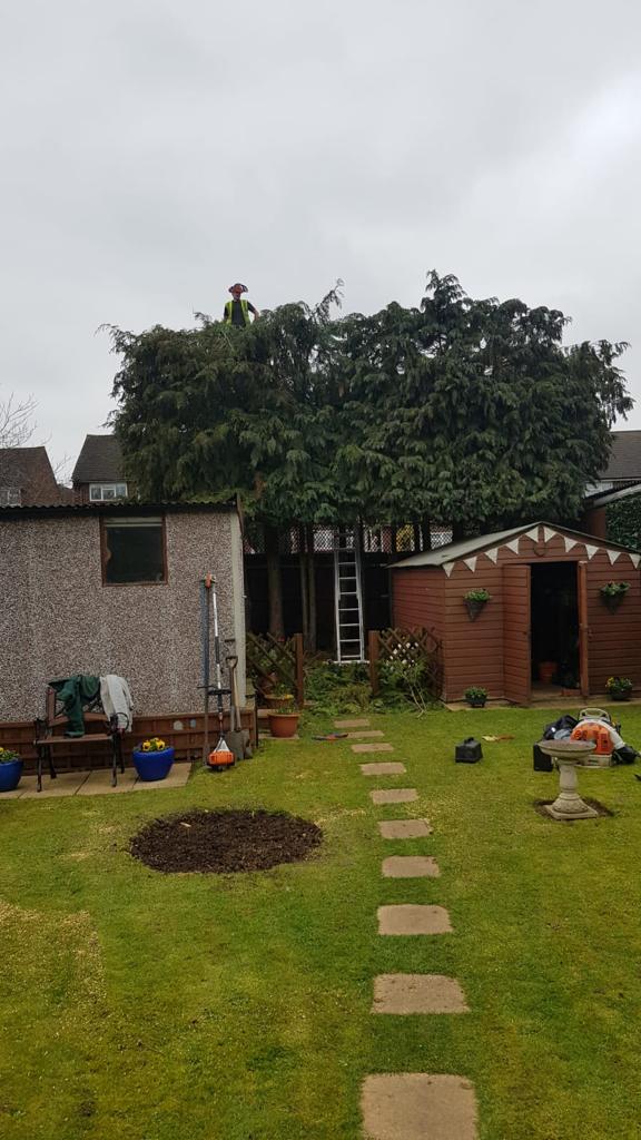 WhatsApp Image 2023-06-08 at 17.40.13-2