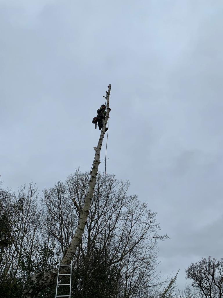 WhatsApp Image 2023-06-08 at 17.40.13-3