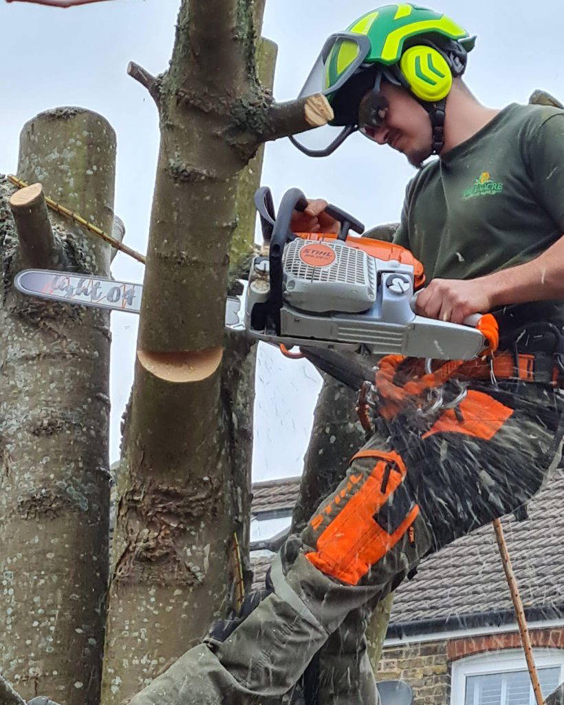 271761253_677151370324644_1474592146587766855_n